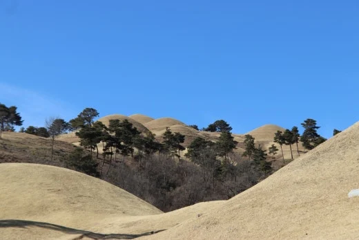 8_545Ud018svc1vc9zk201kzdo_bb9w4o.jpg?type=w520