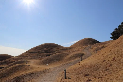 6_b48Ud018svcw4i9cnitn5qh_bb9w4o.jpg?type=w520