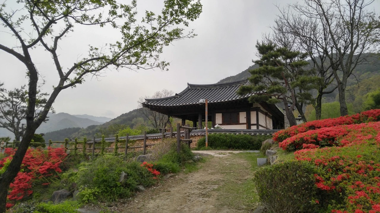 e_h80Ud018svcn99ko093q59f_bb9w4o.jpg?type=e1920_std