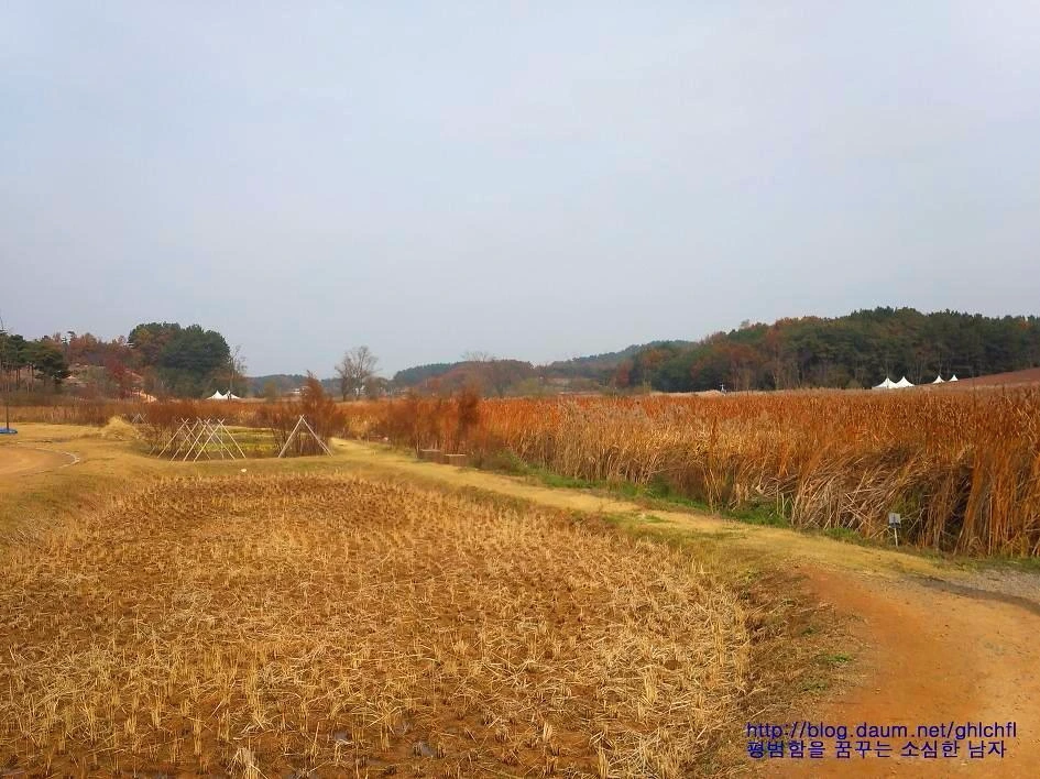 2134E03858A4E85B129431