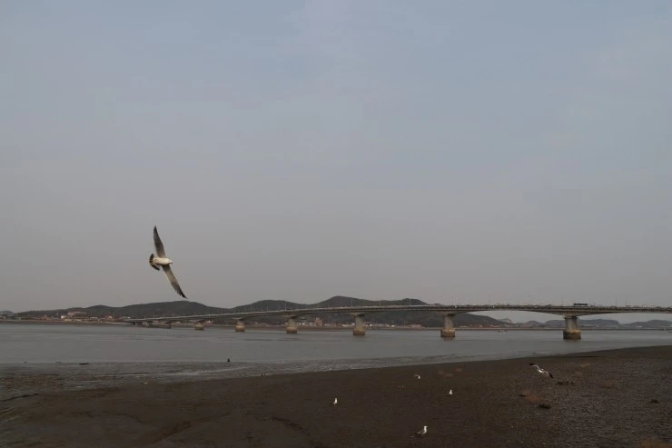 IMG_4325.JPG?type=w2