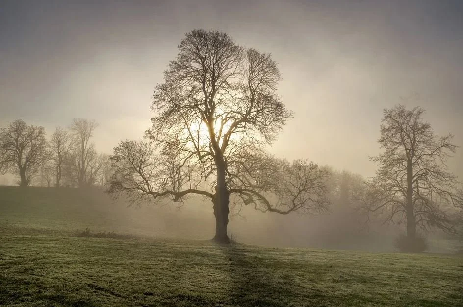 %EC%BA%A1%EC%B2%98.JPG?type=w1200