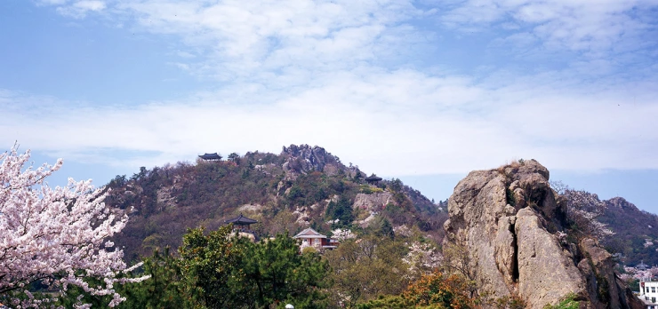 %EC%9C%A0%EB%8B%AC%EC%82%B02-%EB%AA%A9%ED%8F%AC%EC%8B%9C.PNG?type=w2