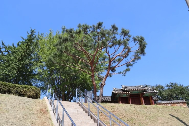 IMG_5351.JPG?type=w2