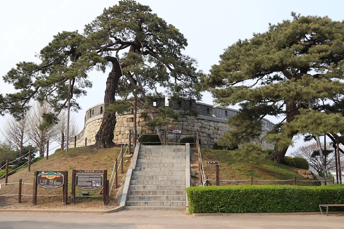 IMG_4294.JPG?type=w1200