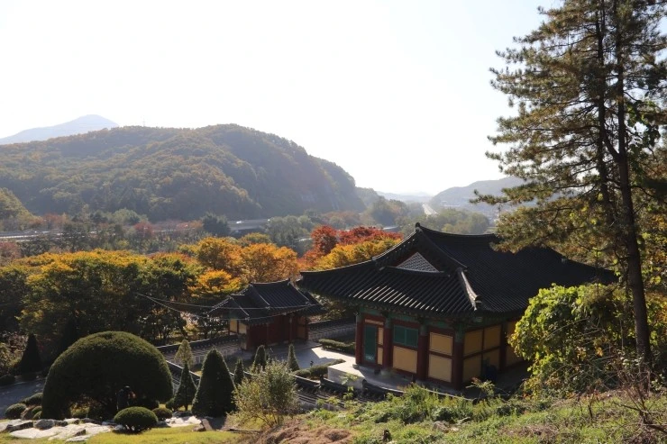 IMG_5481.JPG?type=w2