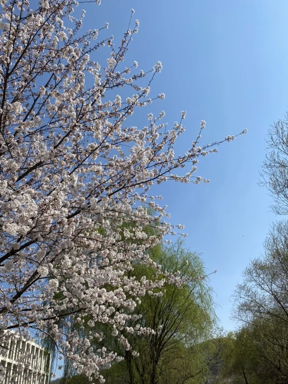 IMG_7885.jpg?type=w580