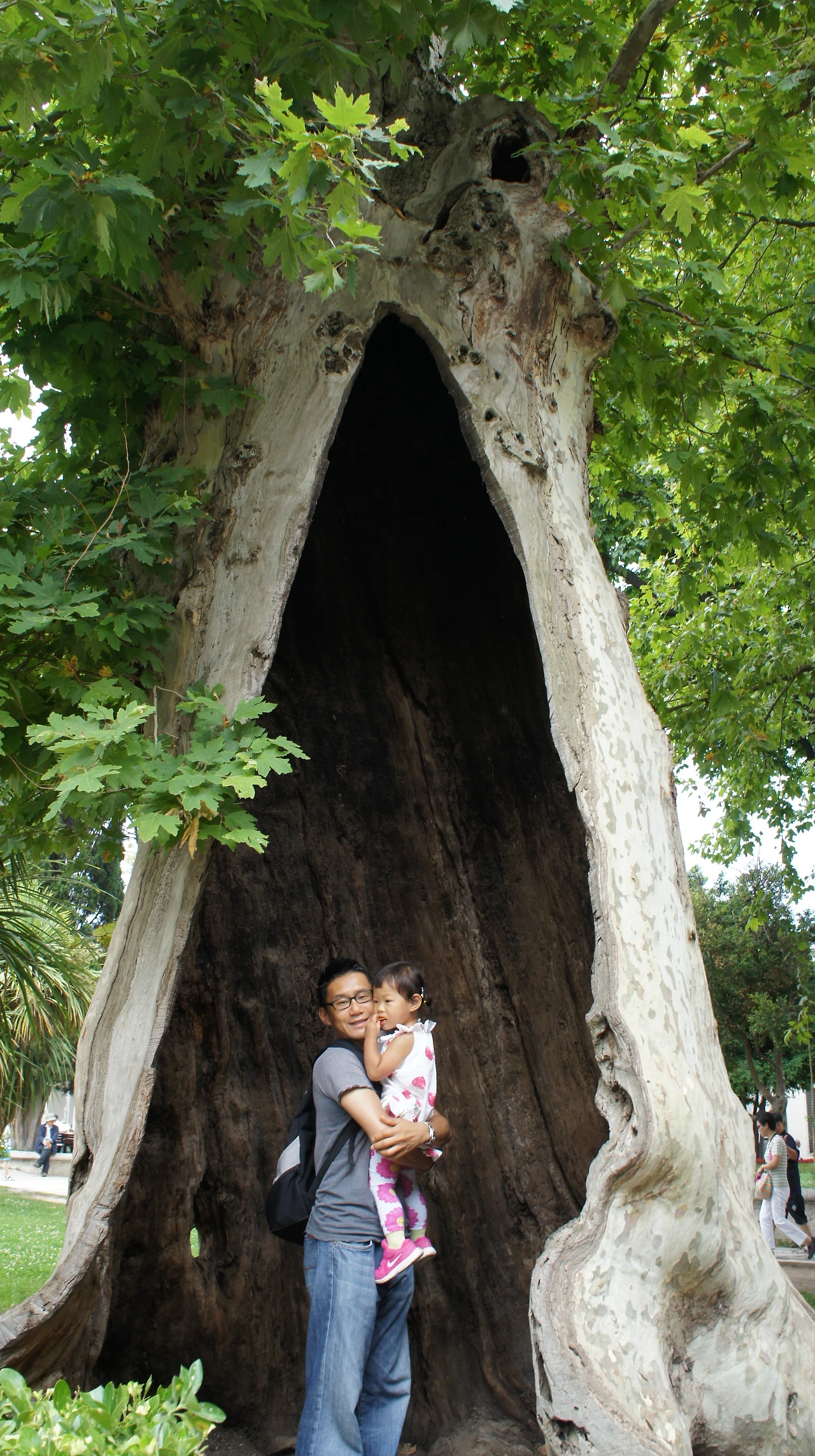 DSC06817 - 복사본.JPG