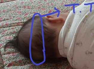 %EC%A0%9C%EB%AA%A9_%EC%97%86%EC%9D%8C.png?type=w966