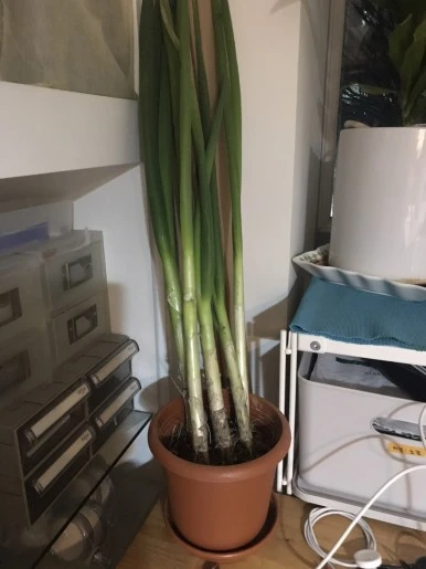 IMG_2291.jpg?type=w386