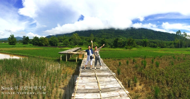 992B233359DC639B086870