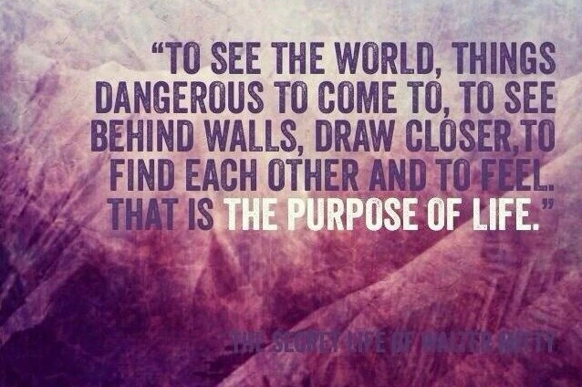 221D203C5313FA8533AE20