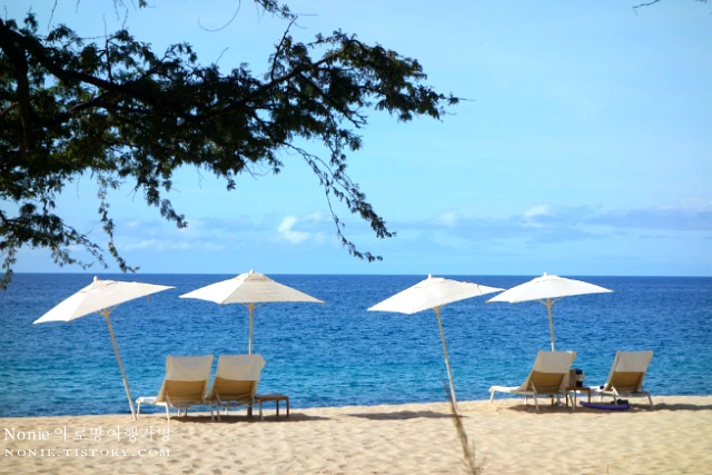 2261004A583A3DB21ABA79