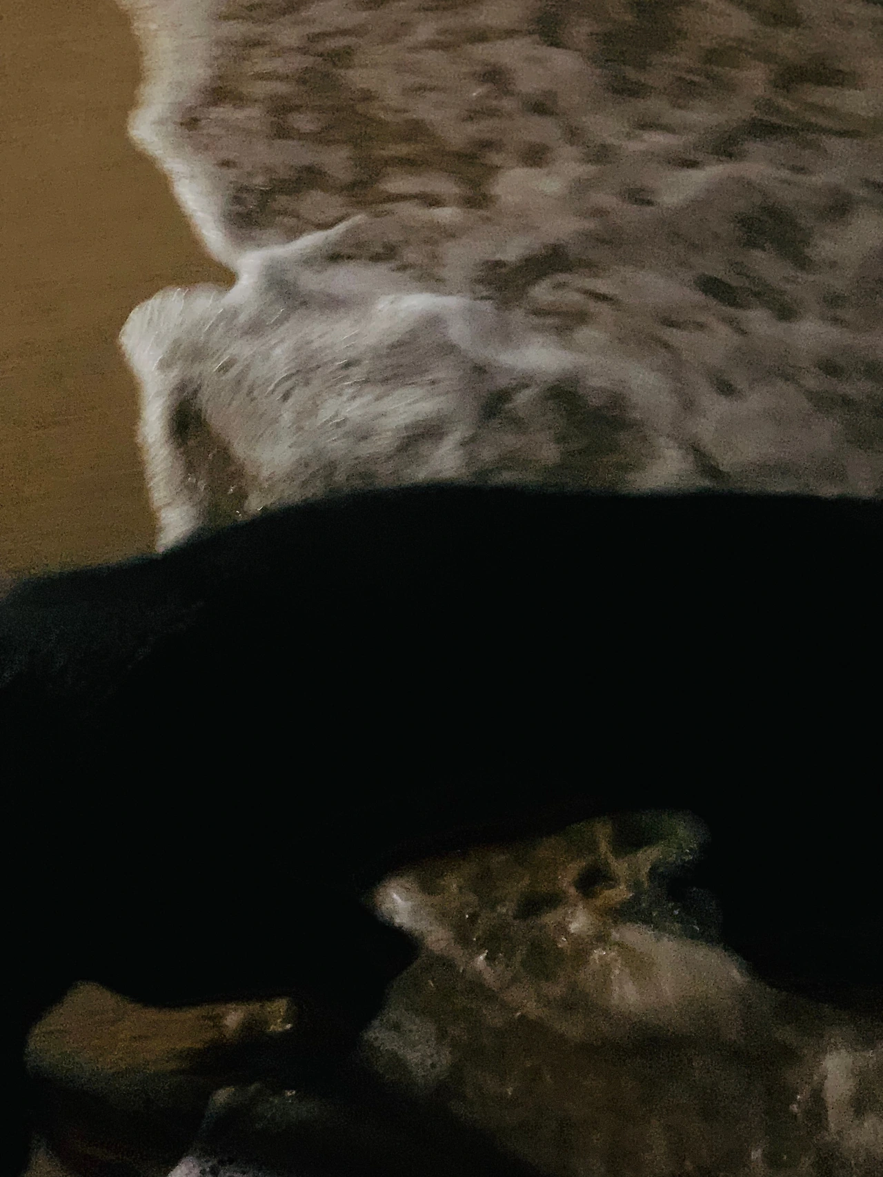 KakaoTalk_Photo_2024-08-10-17-54-49 002.jpeg