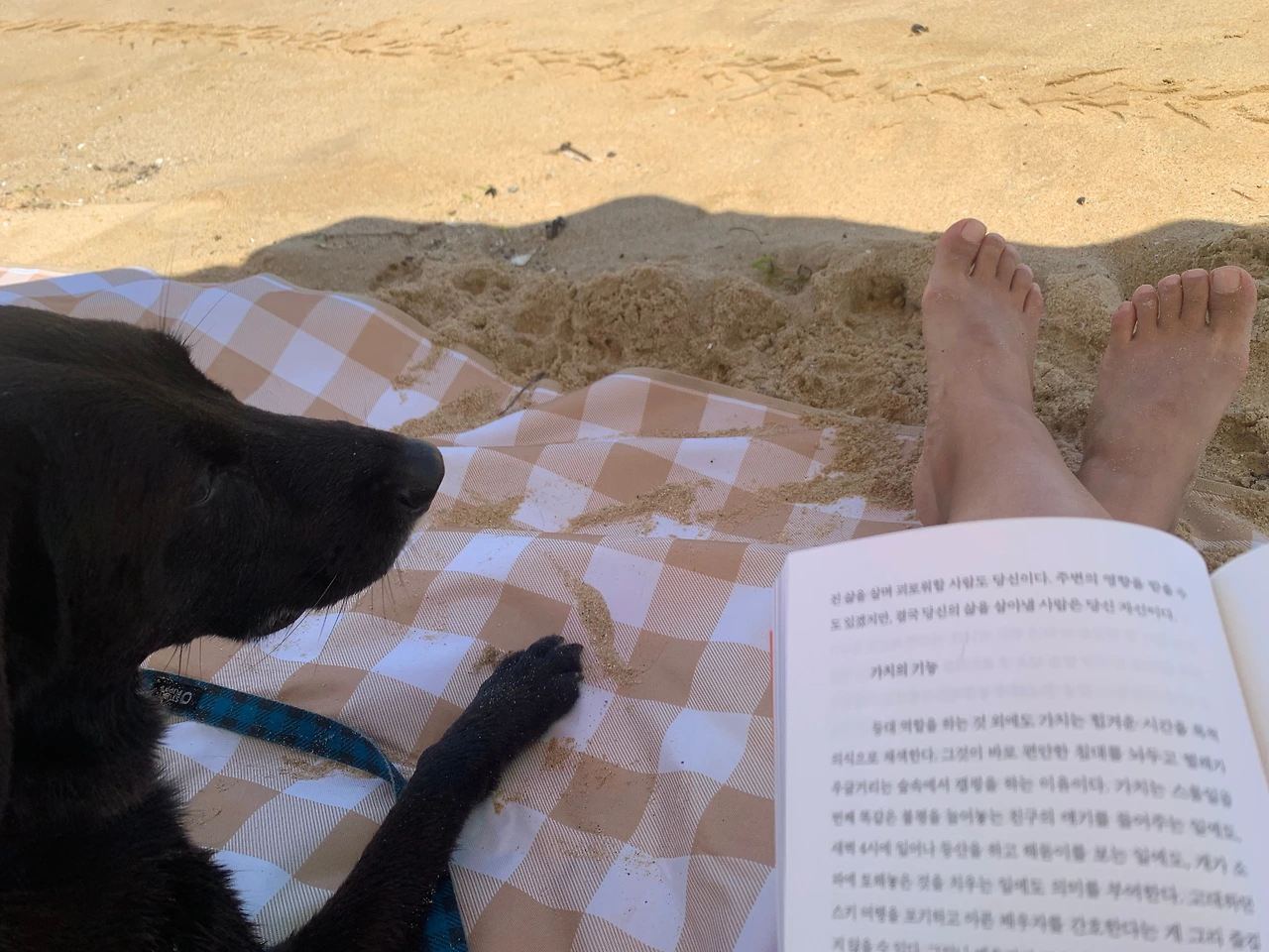 KakaoTalk_Photo_2024-08-10-17-54-49 004.jpeg