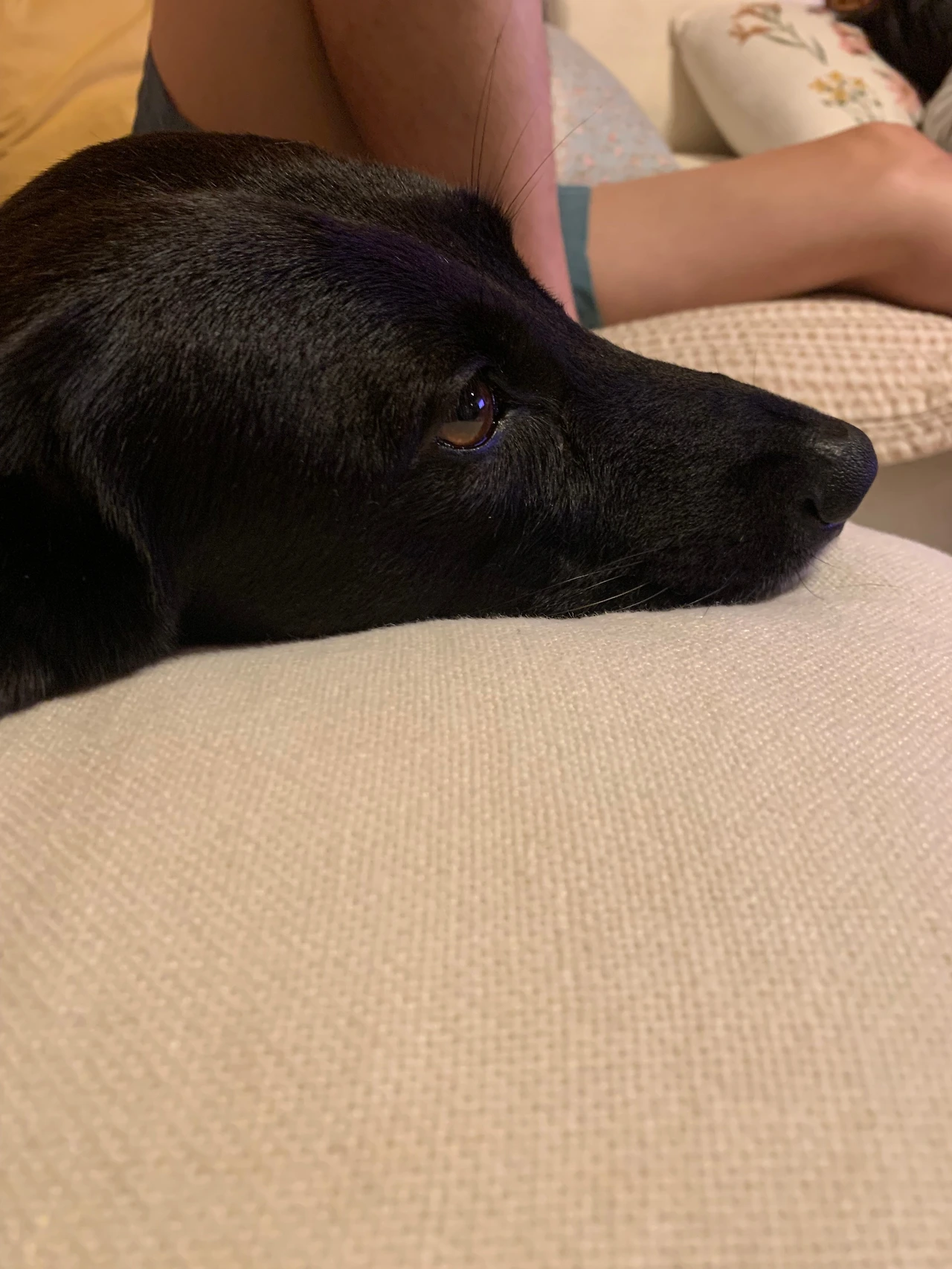 KakaoTalk_Photo_2024-08-03-23-56-02 009.jpeg