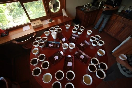 IMG_1934.JPG?type=w3