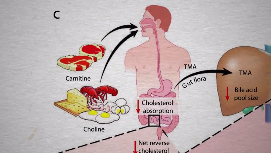 Screenshot_2019-07-15_at_6.06.32_PM_(2).png?type=w1