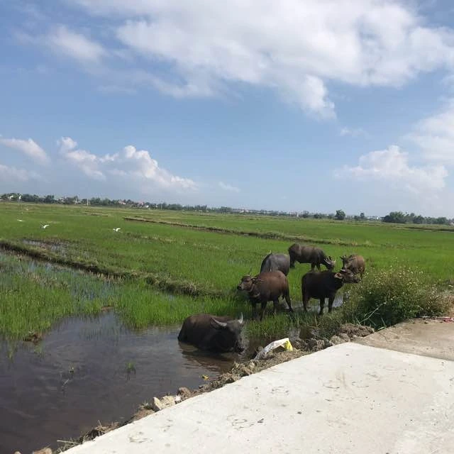 KakaoTalk_Photo_2018-10-14-12-09-42 (1).jpeg