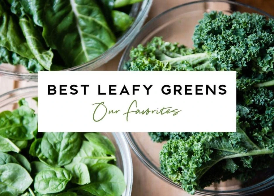 BestLeafyGreensOurFavorites-1000x715.jpg?type=w1