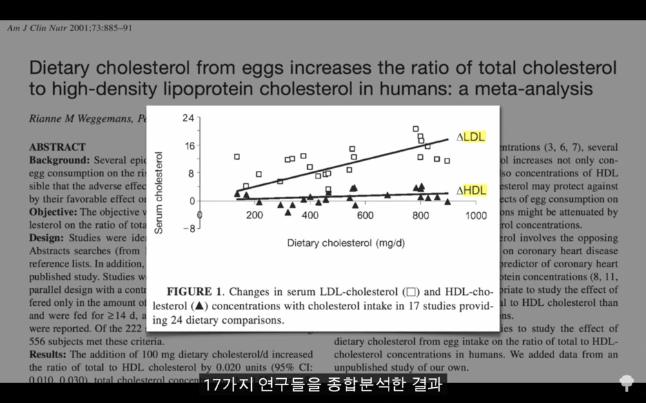 %EC%BD%9C%EB%A0%88%EC%8A%A4%ED%85%8C%EB%A1%A4.png?type=w1