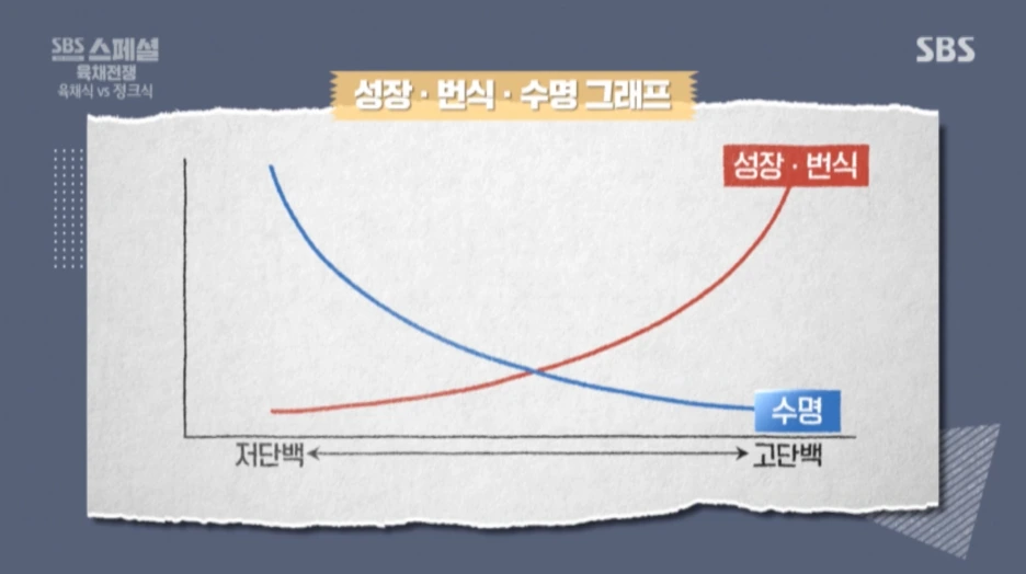 SE-d29ca20e-bd33-4913-b2a6-6d0b734ac752.png?type=w1