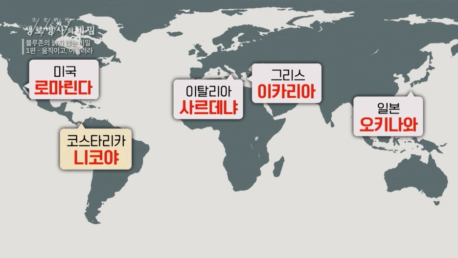 Screen_Shot_2021-07-05_at_5.05.53_PM.png?type=w1