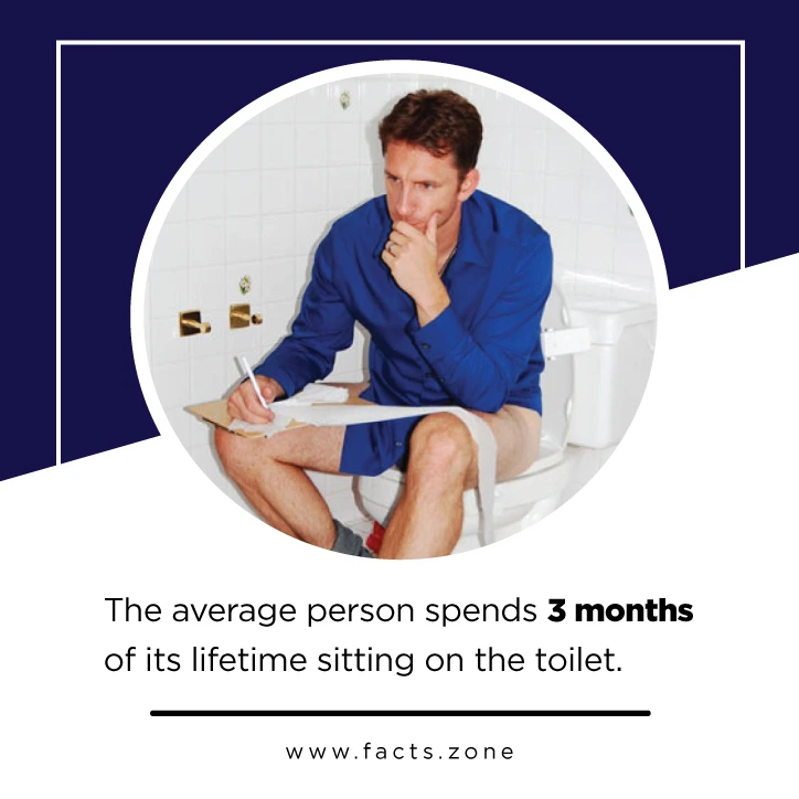 The-average-person-spends-3-months-of-its-lifetime-sitting-on-the-toilet..jpg?type=w1