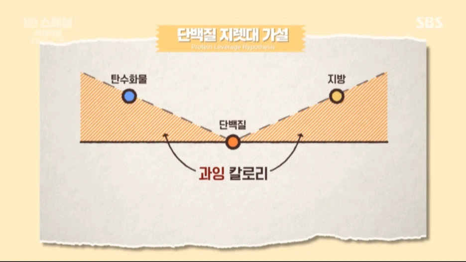 SE-52547899-100b-4d2f-9a86-ff5f142f613b.png?type=w1