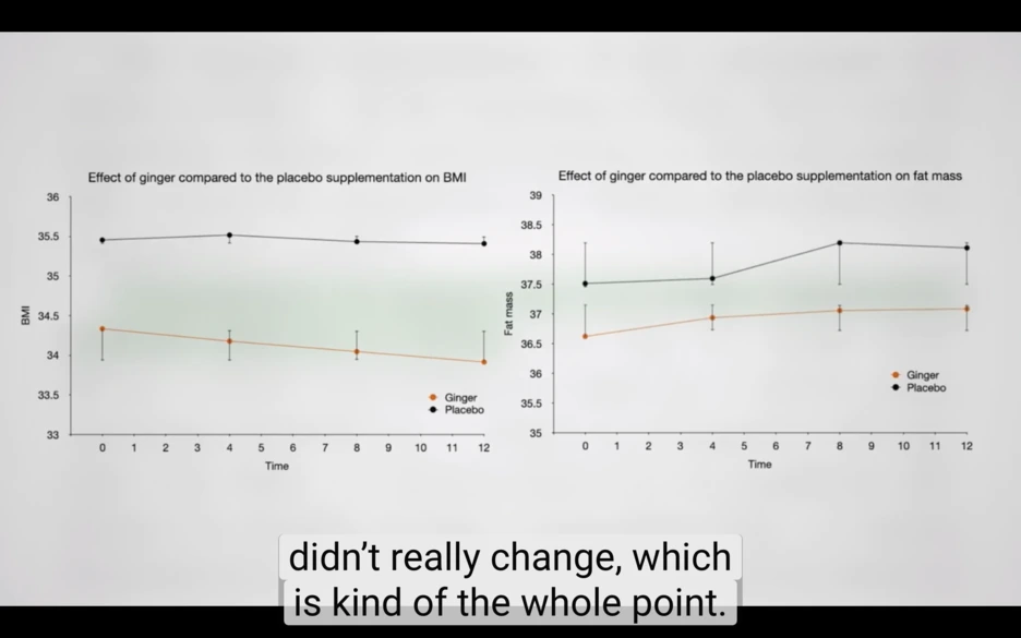 Screenshot_2019-02-22_at_2.15.22_PM.png?type=w1