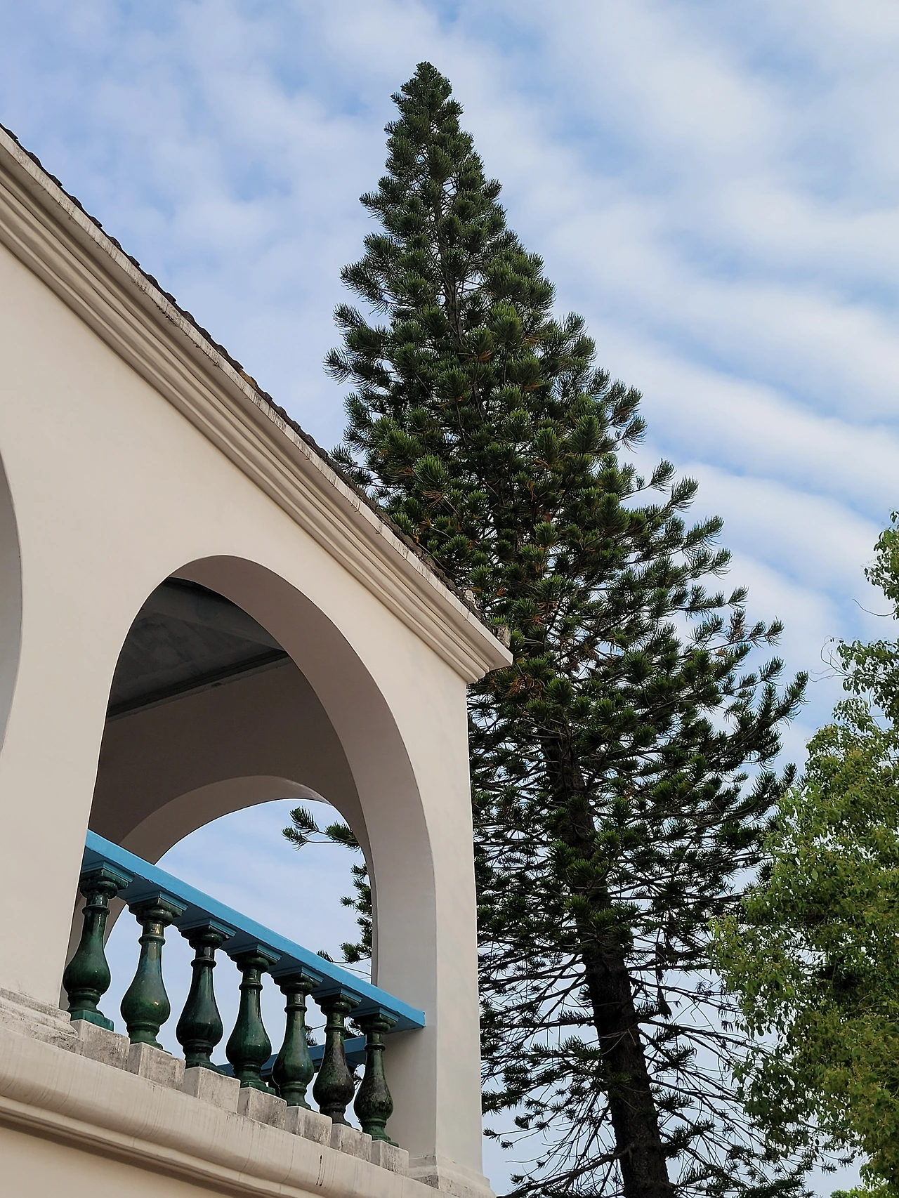 KakaoTalk_Photo_2025-04-02-17-20-13 003.jpeg