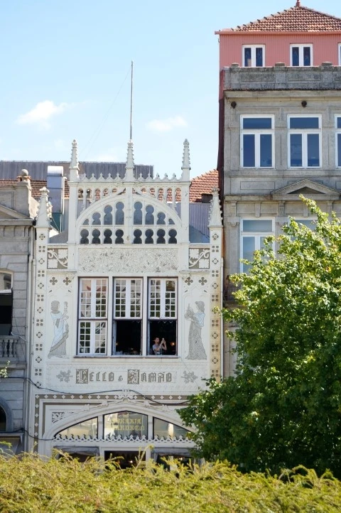 DSC09586.jpg?type=w1