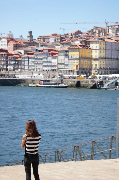 DSC09941.jpg?type=w1