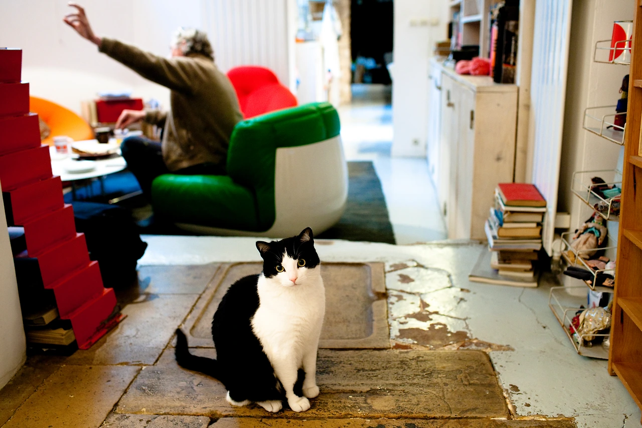 Herve Tullet-051.jpg