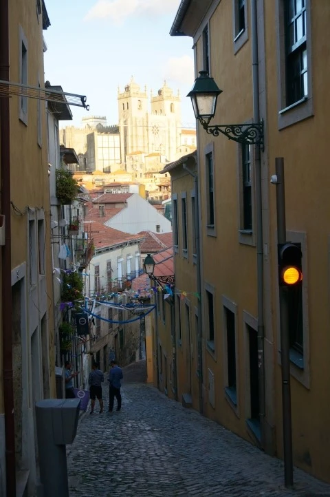 DSC00137.jpg?type=w1