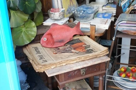 DSC09685.JPG?type=w1