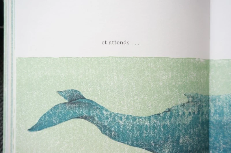 DSC04945.JPG?type=w1