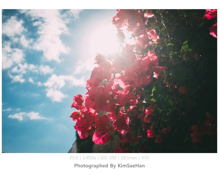 DSCF6735.jpg?type=w2