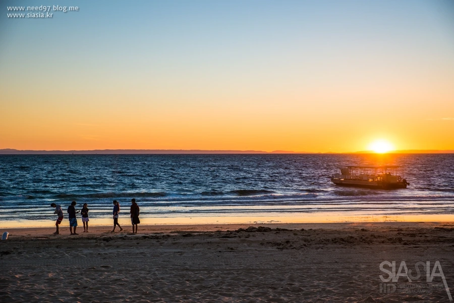 SIA_8936.jpg?type=w1