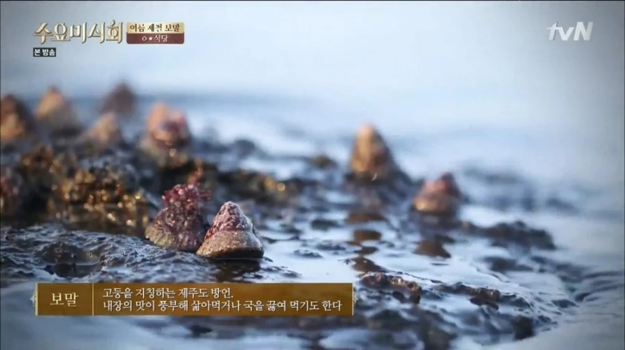 tvN_%BC%F6%BF%E4%B9%CC%BD%C4%C8%B8.E20.150610.HDTV.H264.720p-WITH.mp4_003185888.jpg?type=w1