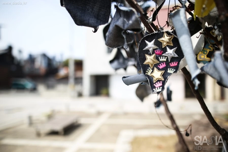 IMG_9029_6D_SIGMA_24Art.jpg?type=w1