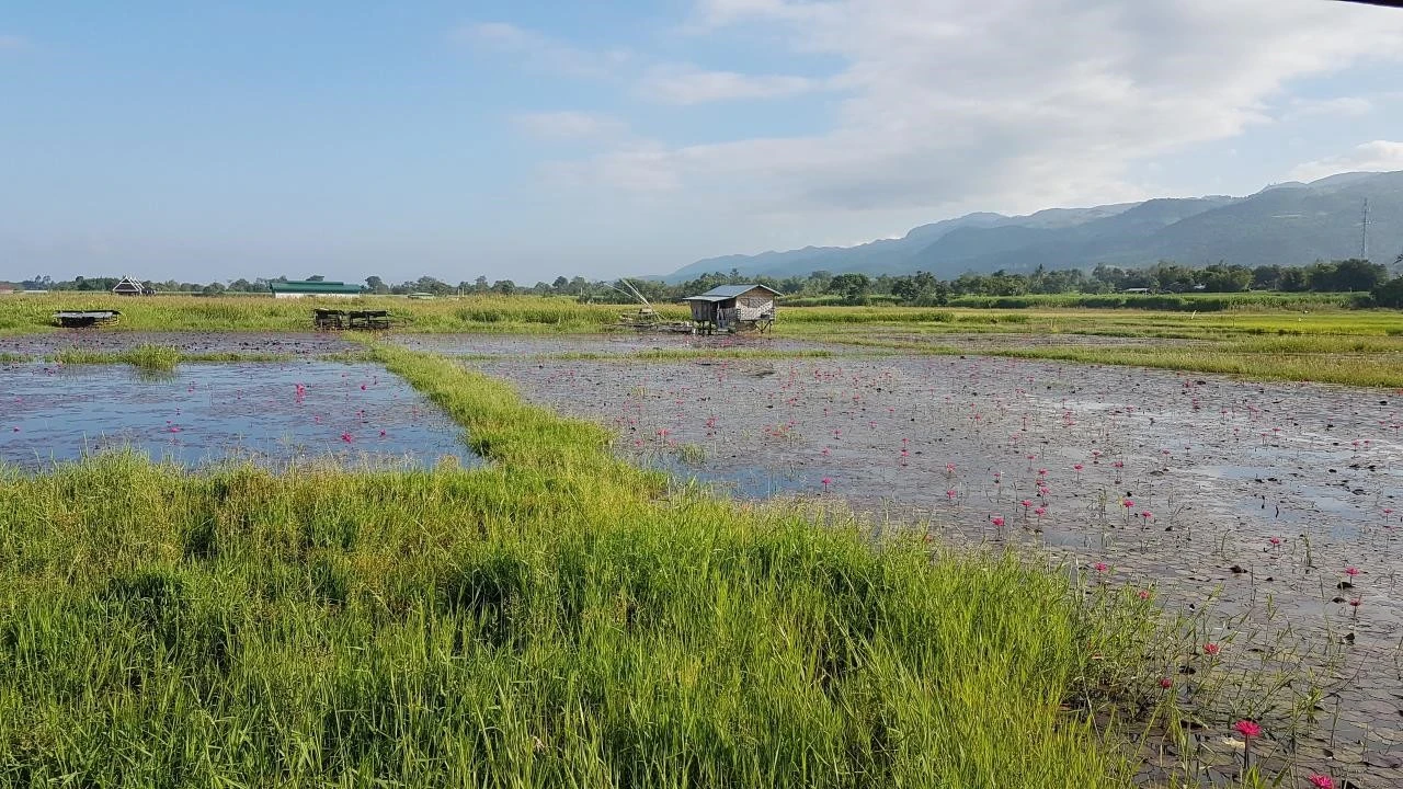 c_75jUd018svc1h35cgm15swxh_5kk3gr.jpg?type=e1280_std