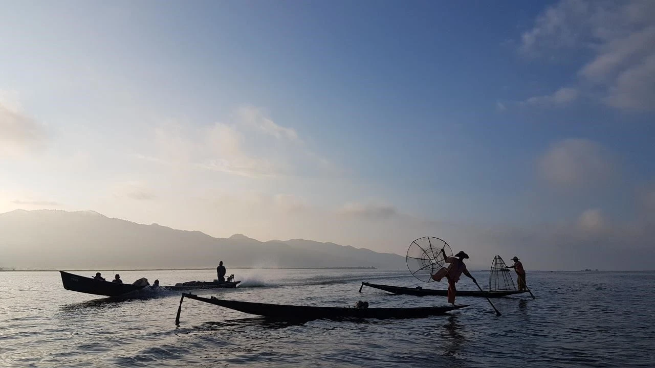 5_55jUd018svc1627lnt1mwn0g_51s8sb.jpg?type=e1280_std