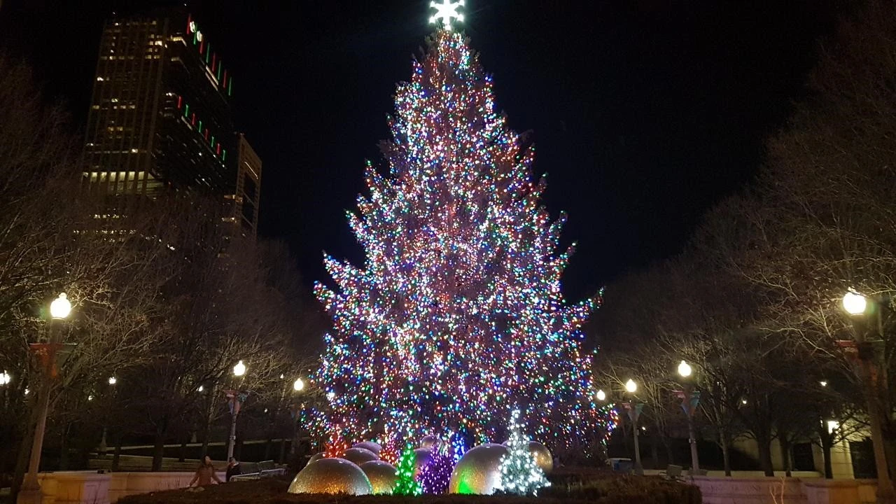 9_f6hUd018svcxg9oqdkdi8mf_miekas.jpg?type=e1280_std