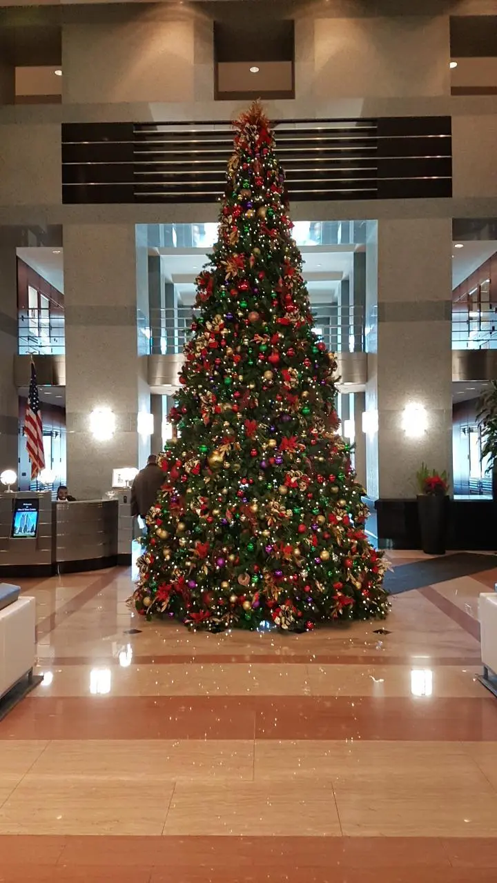 d_13gUd018svc1vusq1n5sdpk4_miekas.jpg?type=e1920