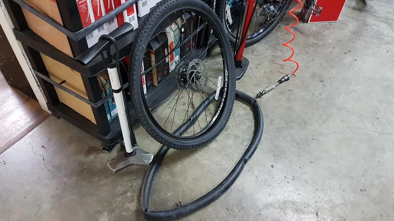 e_2d4Ud018svck4smf09gwhy4_miekas.jpg?type=e1920_std