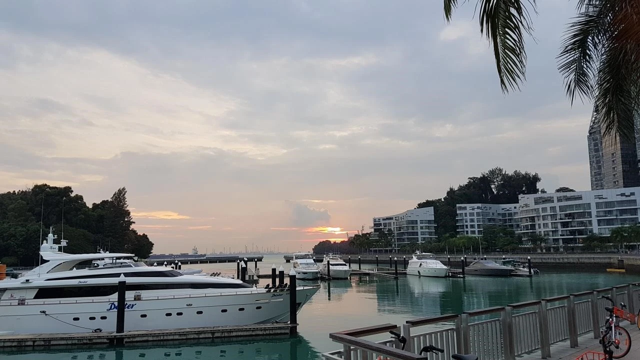 6_fdcUd018svc6v1sr6zxl2ex_miekas.jpg?type=e1920_std