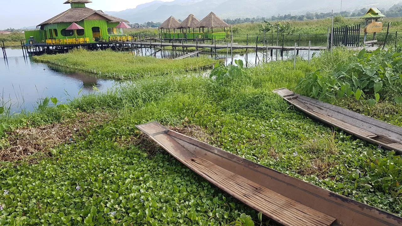 b_c5jUd018svc1xrrgz6f5670z_fv7616.jpg?type=e1280_std