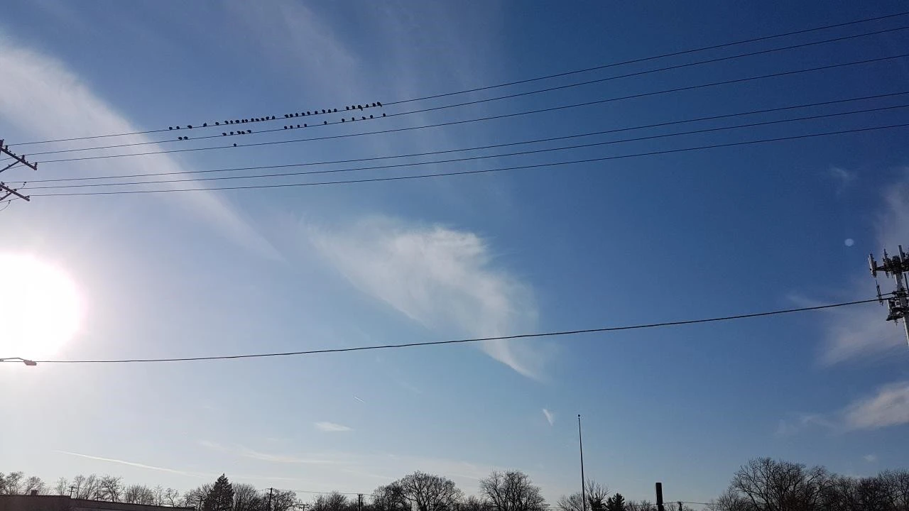 e_884Ud018svc15wwyfcrnkcj6_miekas.jpg?type=e1280_std