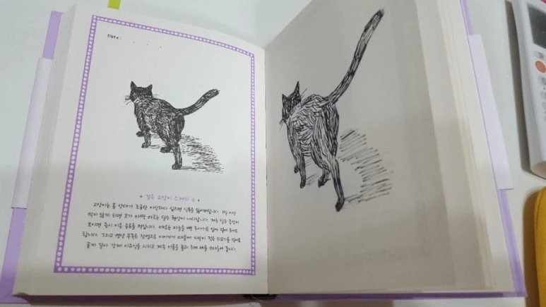 20170722_070244.jpg?type=w773